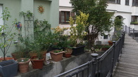 DSC02065.JPG