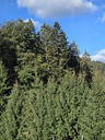 20260829_093635.jpg
