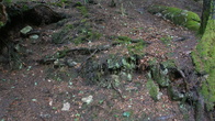 DSC01596.jpg