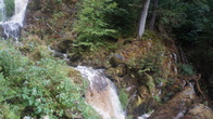 DSC01636.jpg