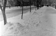 12-30-2010_019.JPG