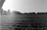 1-8-2011_091.jpg