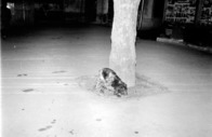 1-7-2011_100.JPG