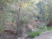 DSCN0258.jpg