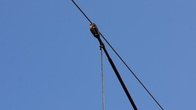 DSC08306.jpg