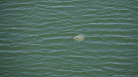 DSC08544.jpg
