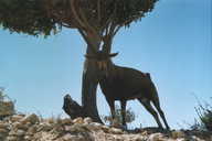 ramon04.JPG