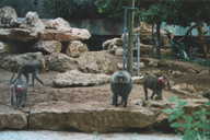 safari09.JPG