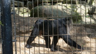 DSC00034.jpg
