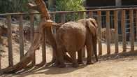 DSC00049.jpg