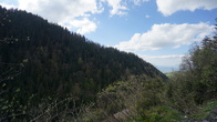 DSC01342.jpg