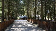 DSC01581.jpg
