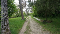 DSC01773.jpg