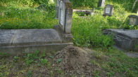 DSC02198.JPG