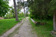 DSC_0347.jpg