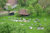 DSC_0363.jpg