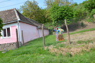 DSC_0505.jpg