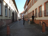 DSCN0839.JPG