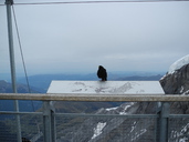 DSCN1222.jpg
