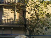 DSCF1695.jpg