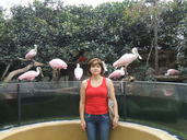 DSCF1435.JPG