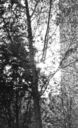 old_2100022.jpg