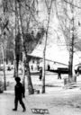 old_2100101.jpg